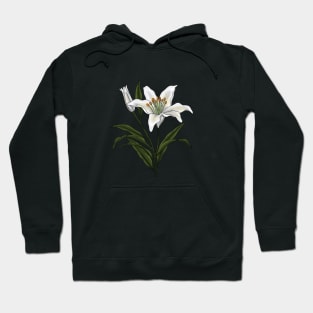 Lily Hoodie